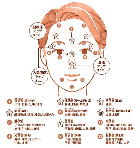 眉毛風水|風水の良い顔 幸運を招くメイク – ワールド・オブ・。